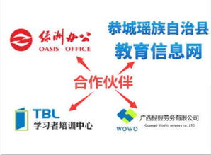 計算機軟硬件開發(fā)及集成服務